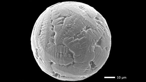 Microscopia eletrônica de um micrometeorito de 240 milhões de anos