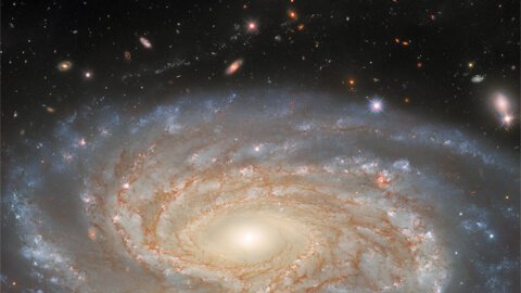Galáxia NGC 7038