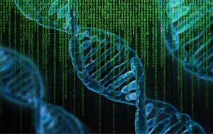 Imagem: Pete Linforth/Pixabay