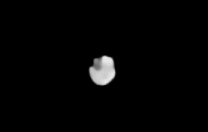 Asteroide Nisa